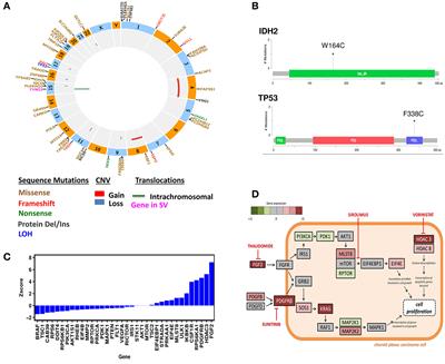 Molecular Guided Therapy Provides Sustained Clinical Response in Refractory Choroid Plexus Carcinoma